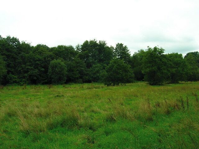 Scrase Valley Nature Reserve Strip of around 9 hectares covering the flood plain of Scrase Stream, a tributary of the River Ouse, made up of marsh and woodland.