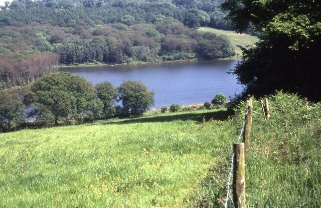 Looking down to Ardingly Reservoir