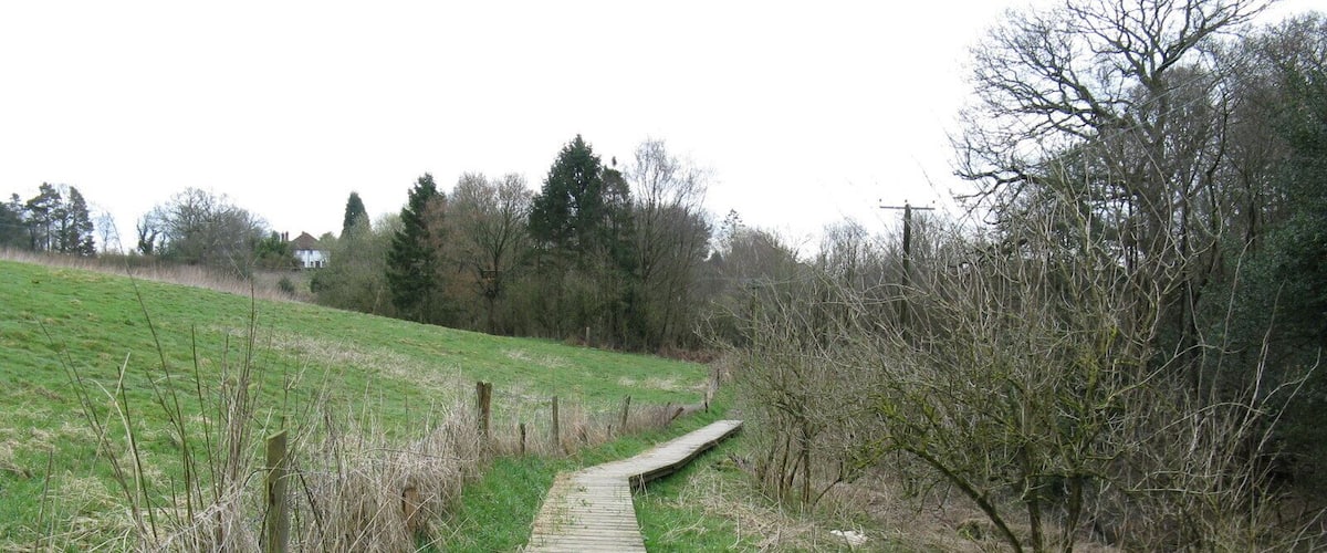 A wooden footbridge over a grassy field with trees and a fence.