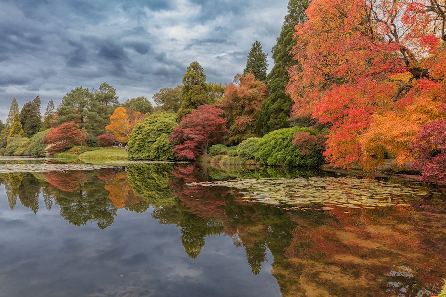 Autumn nature reflected in a pond in Sheffield Park Garden, UK