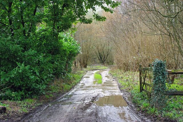 Track into Keysford Wood There must be another reason this access is here in this form, apart from getting to the wood, but it is not obvious.