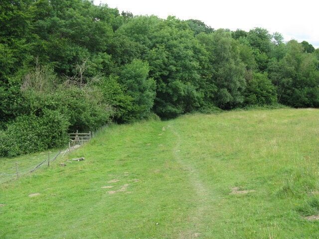 High Weald Landscape Trail entering the eastern edge of New England Wood