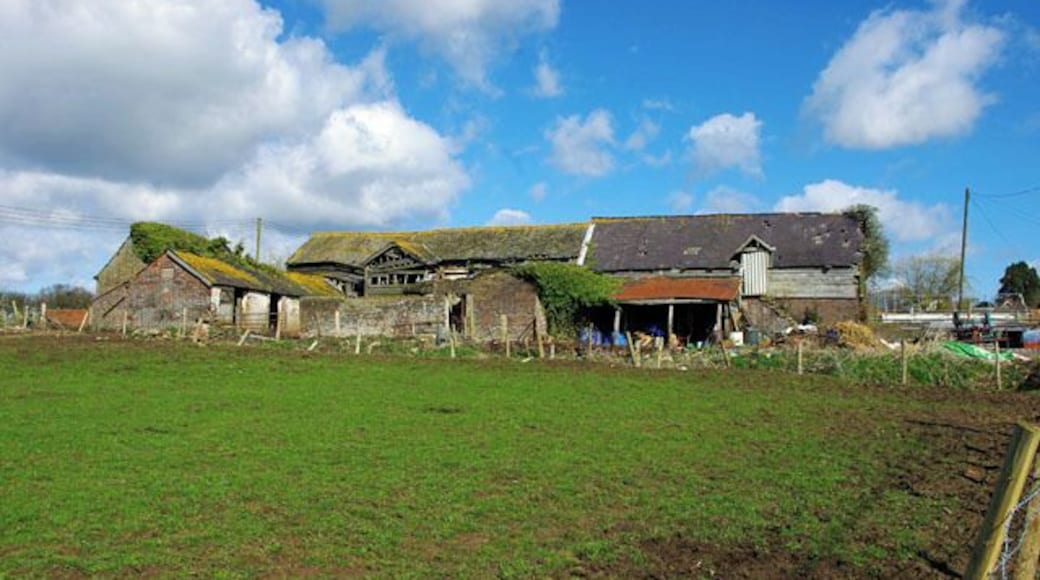 Ramshackle barns, Laines Farm Court House is to the right, out of shot.