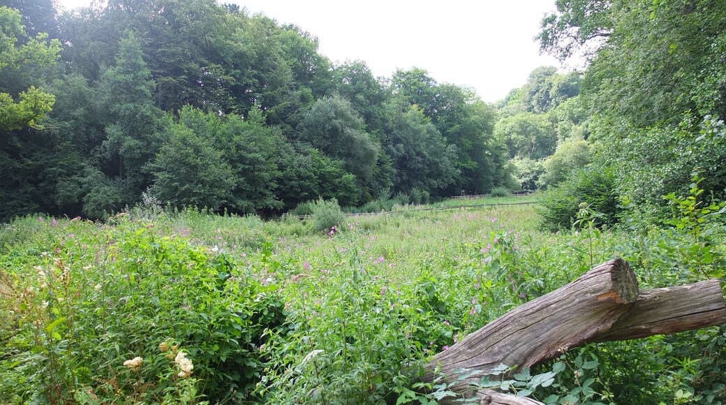 Wakehurst Place 2013