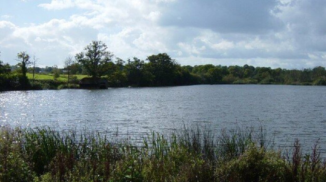 Slaugham Pond. Looking SW towards the boathouse.