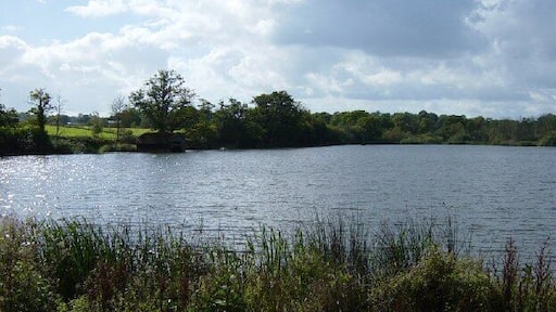 Slaugham Pond. Looking SW towards the boathouse.