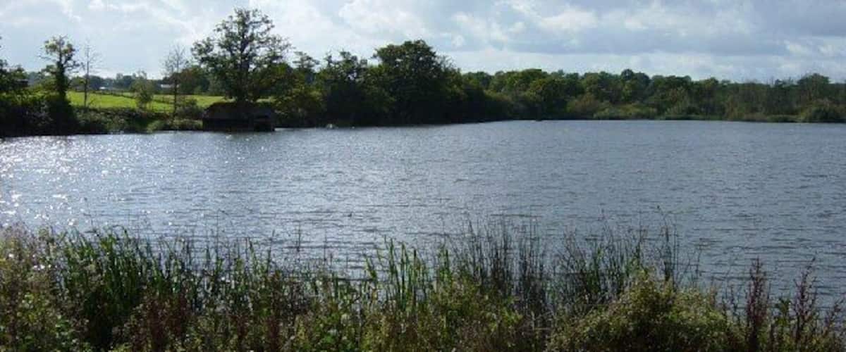 A calm lake with a grassy shoreline and trees in the background.