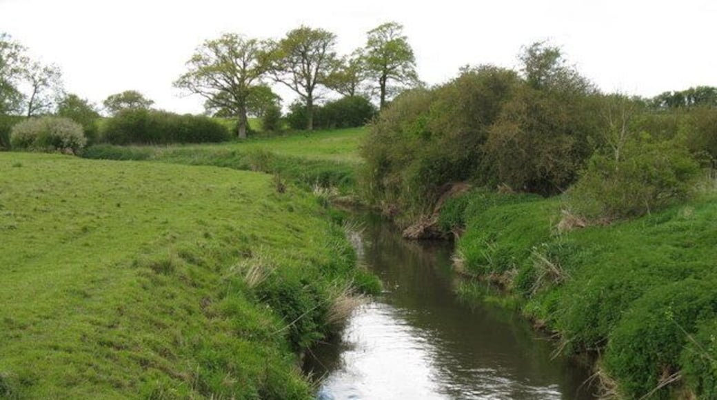 Adur tributary flowing SW below weir