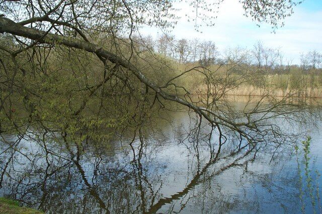 Balcombe Lake. Balcombe Lake, one of the many "hammer ponds" that were created in the Weald of Sussex some 3 - 400 years ago to harness water power for the local iron industry. Now a haven for wildlife.