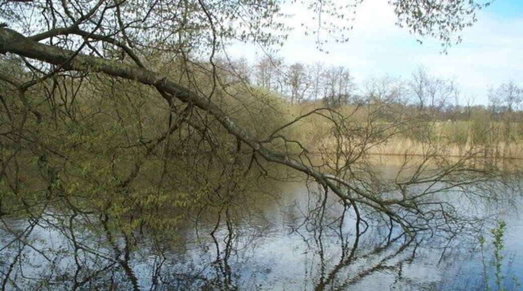 Balcombe Lake. Balcombe Lake, one of the many "hammer ponds" that were created in the Weald of Sussex some 3 - 400 years ago to harness water power for the local iron industry. Now a haven for wildlife.