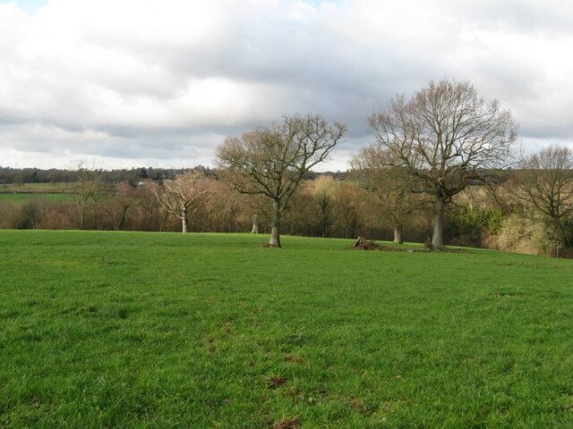 A grassy field with trees and a cloudy sky.