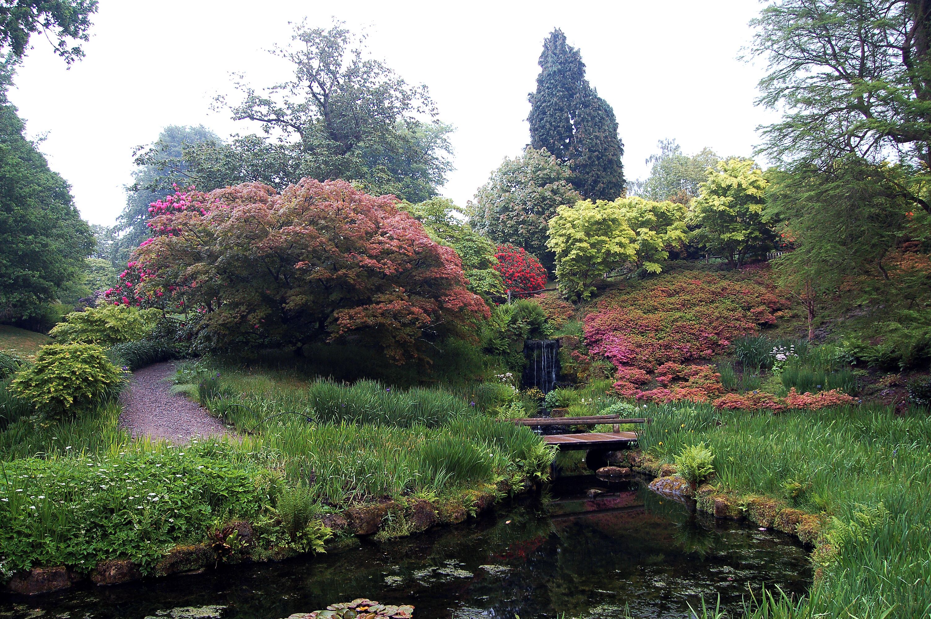 A serene garden with a pond, a wooden bridge, and various flowering trees.