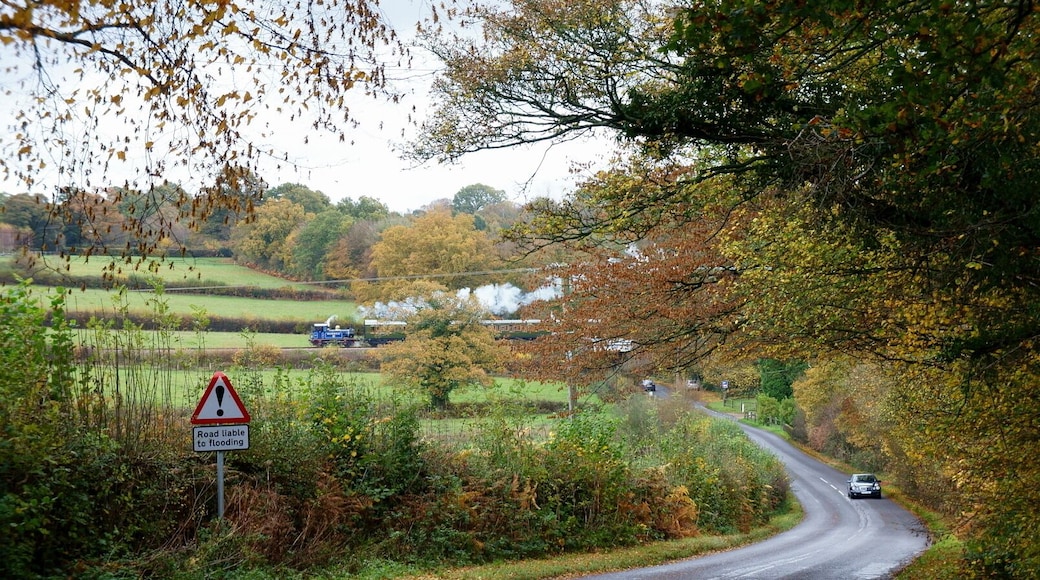 No.323, 'Bluebell', photographed from Keysford Lane. The location is named after the cottages which lie to the right of the lane, just before the railway bridge.