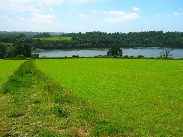 Un campo cubierto de hierba con un sendero que lleva a un lago rodeado de árboles.