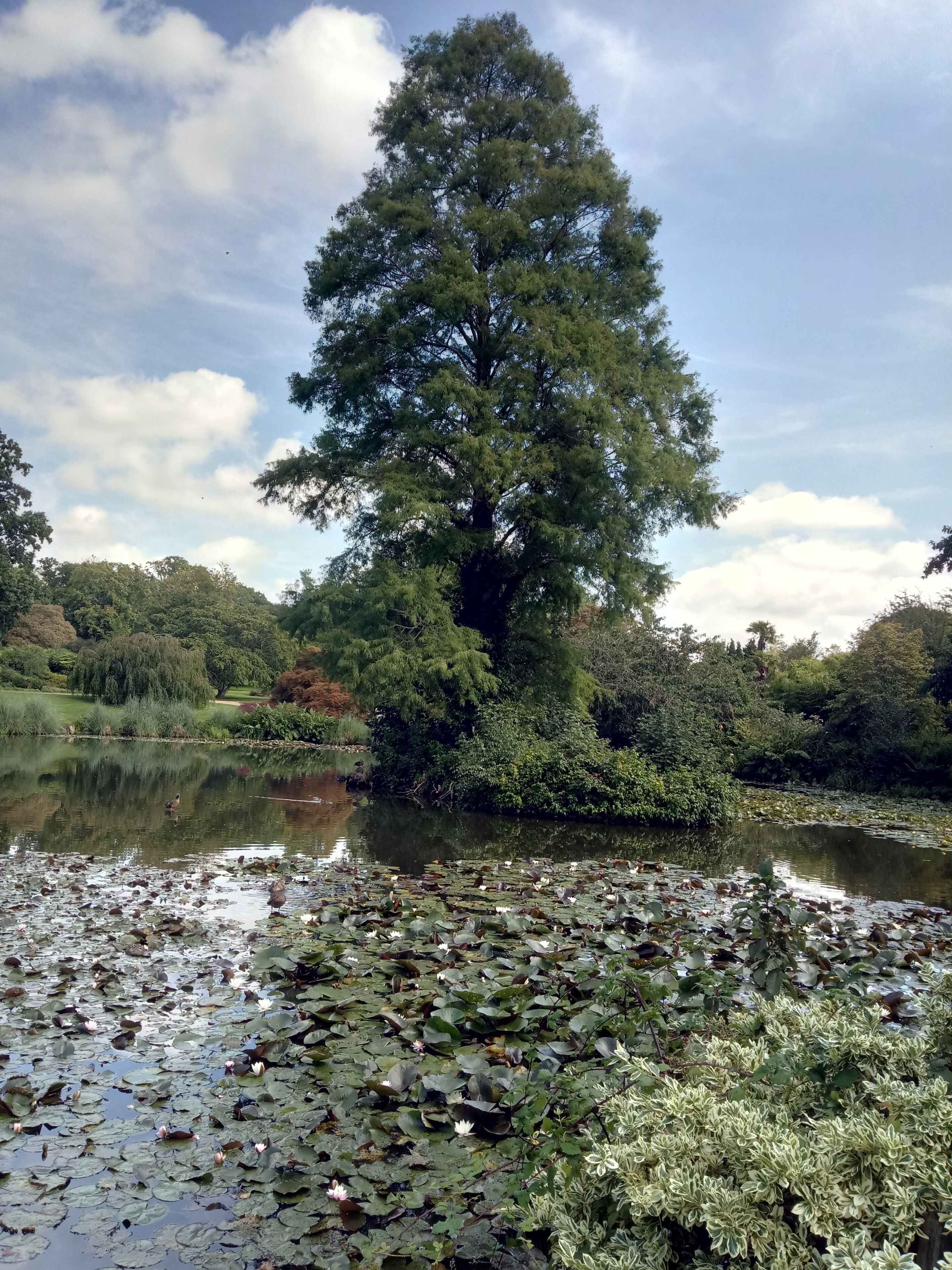 National Trust / Kew property.
