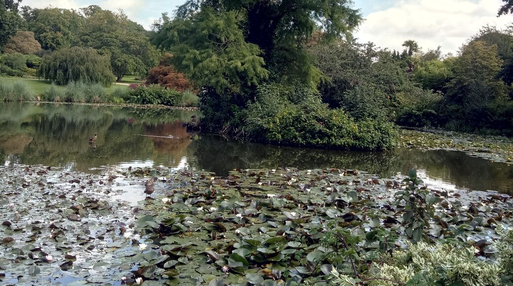 National Trust / Kew property.
