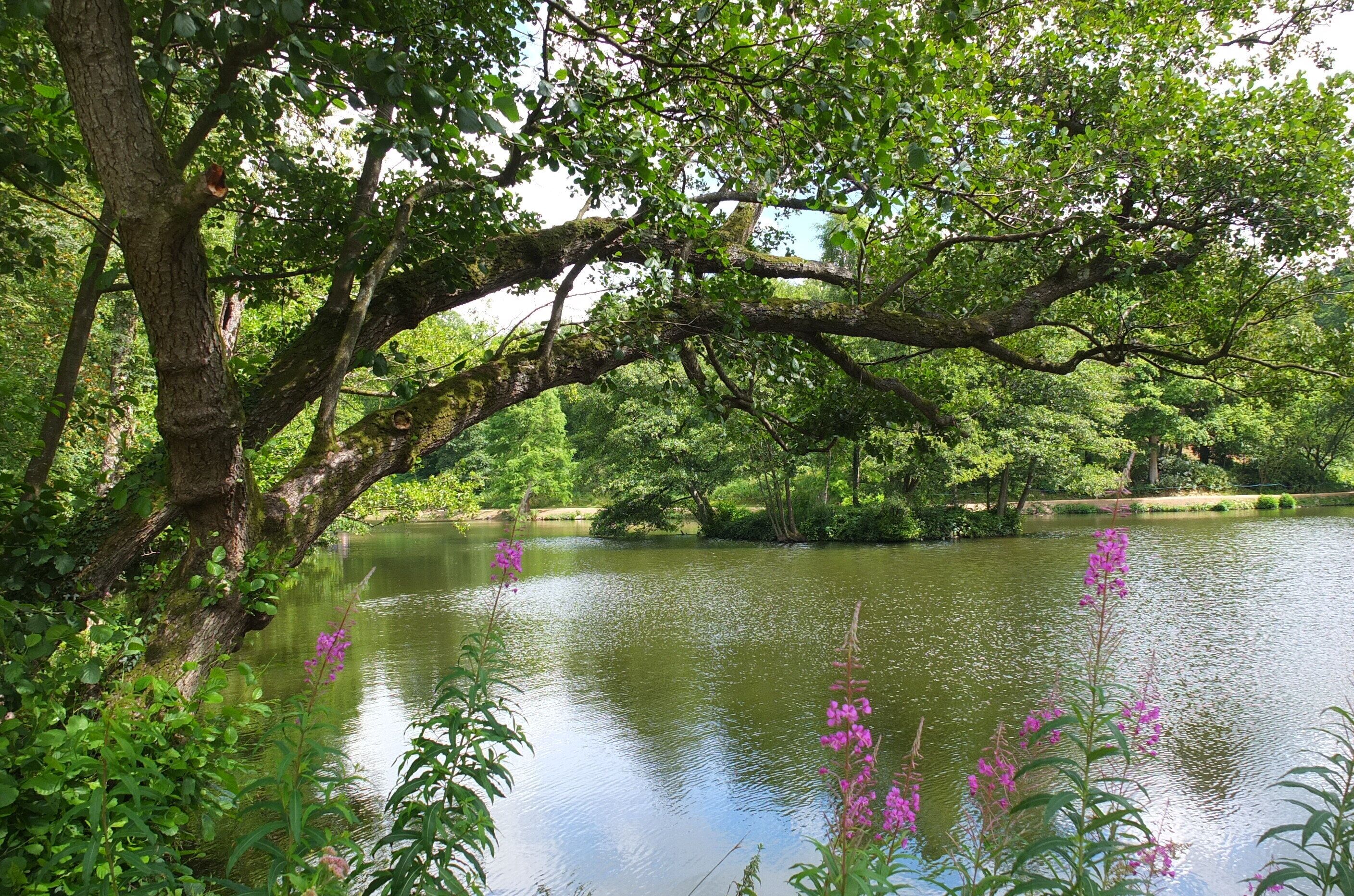 Wakehurst Place 2013