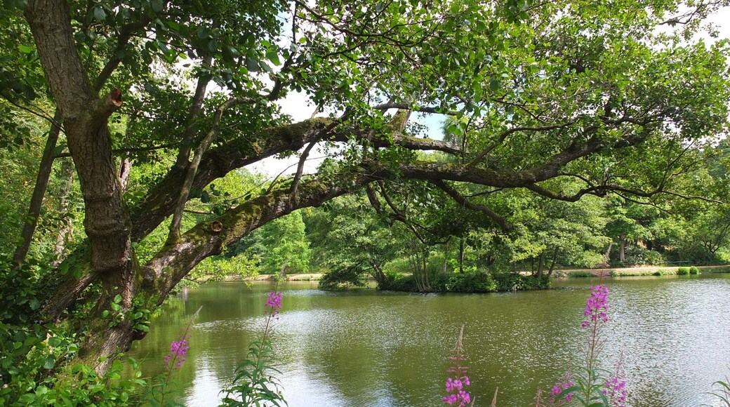 Wakehurst Place 2013