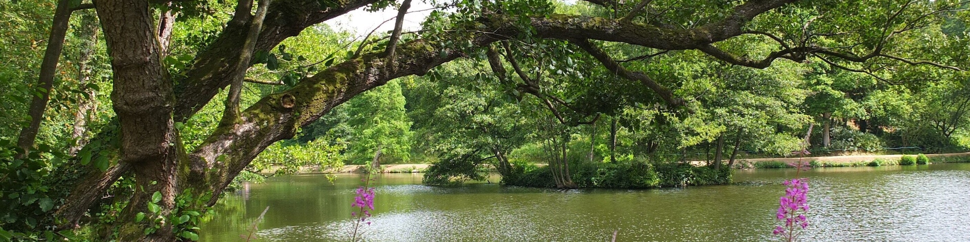 Wakehurst Place 2013