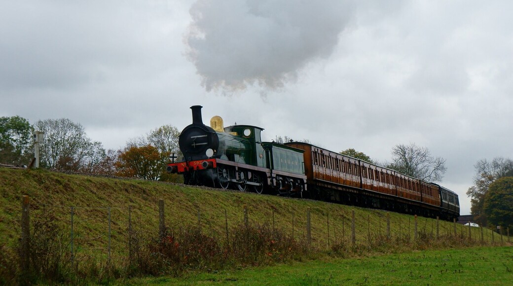 Seen on the embankment, with 'Three Arch Bridge' just visible in the background.