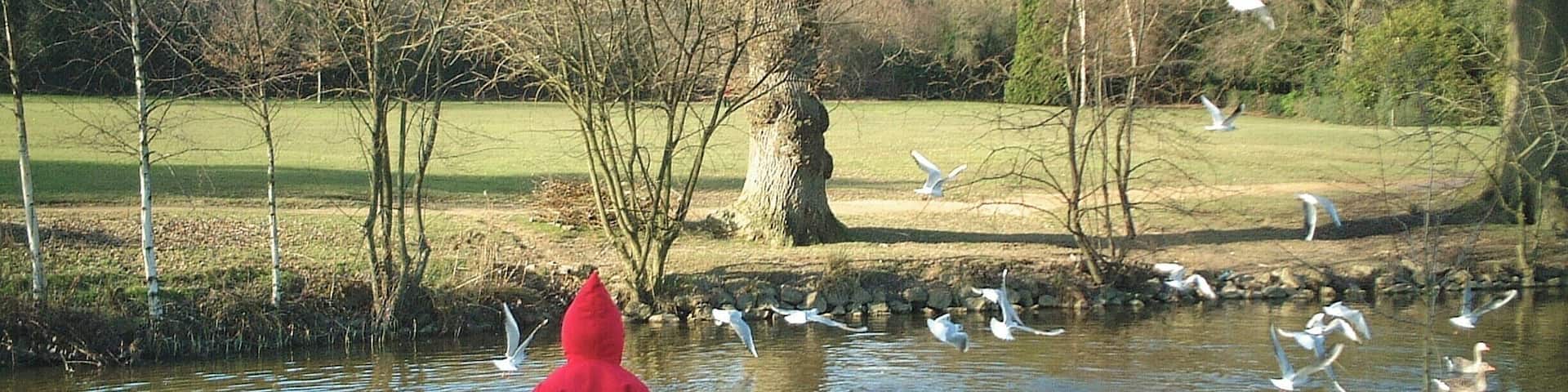 January 2002
My daughter feeding the ducks at Dunorlan Park in Tunbridge Wells.