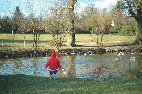 January 2002
My daughter feeding the ducks at Dunorlan Park in Tunbridge Wells.