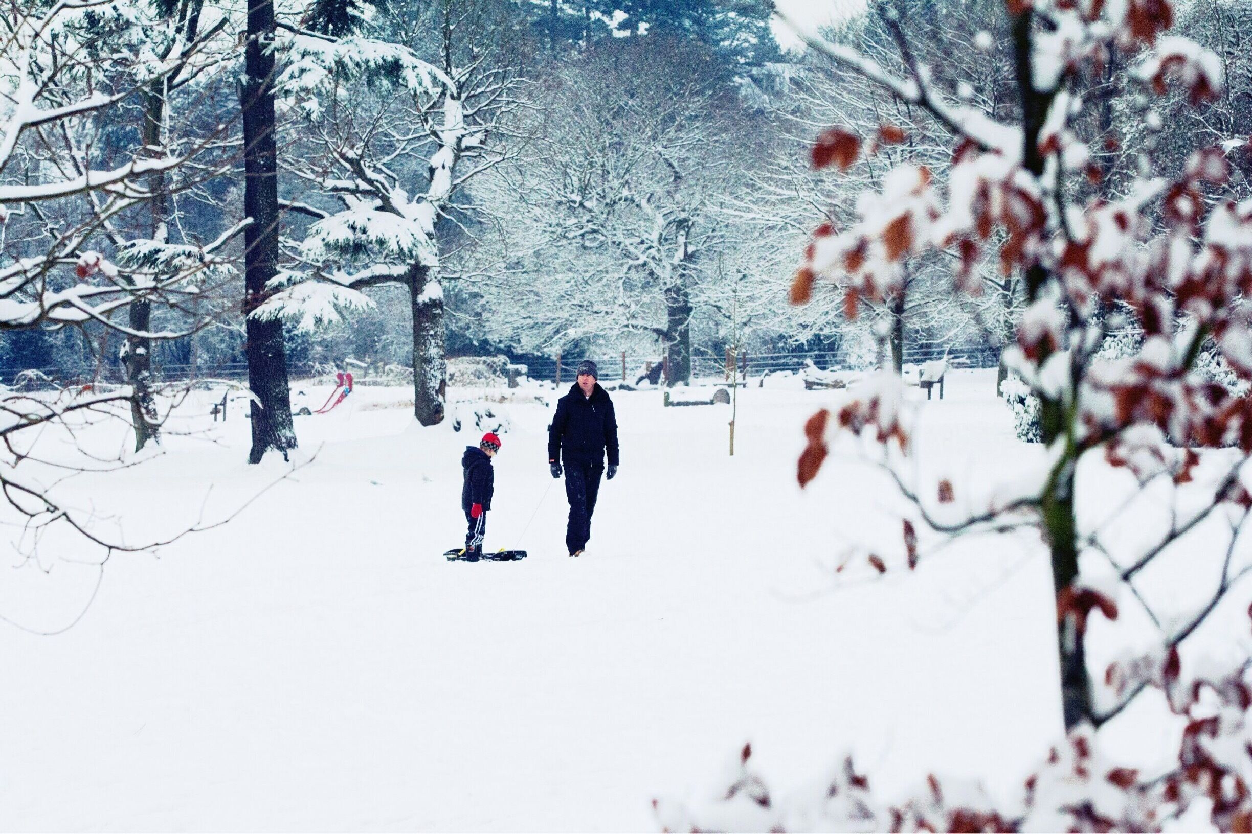 Dad and son spending time together on a snowy day at Dunorlan Park.

#Snow