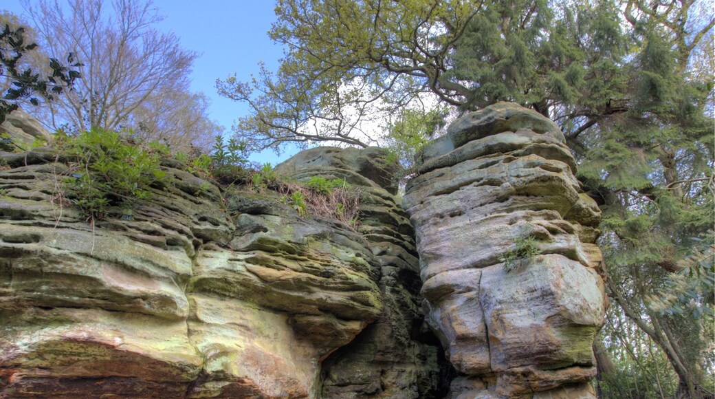 One of the sandstone outcrops of rocks at Happy Valley in Rusthall. A great place for walking and playing on the rocks.