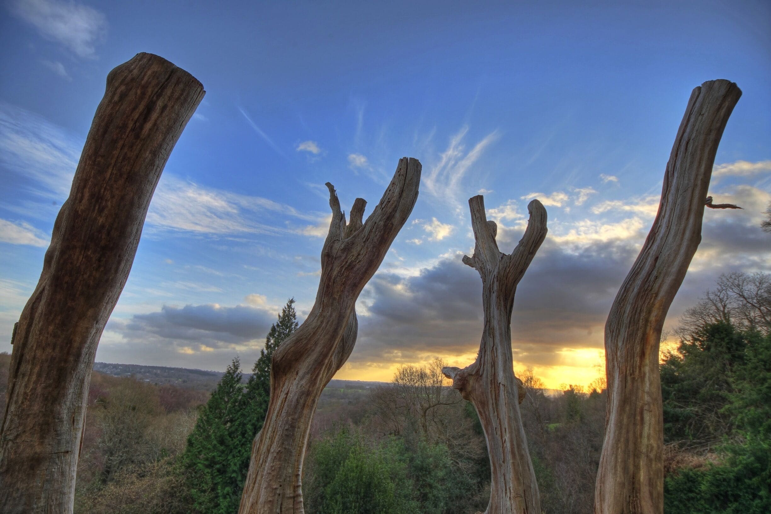 January 2012

The four dead trees that reach up to the sky are a landmark at Happy Valley in Tunbridge Wells.

A really peaceful place to stroll or walk the dog, it also has a number of sandstone rock formations that are great to climb and walk.