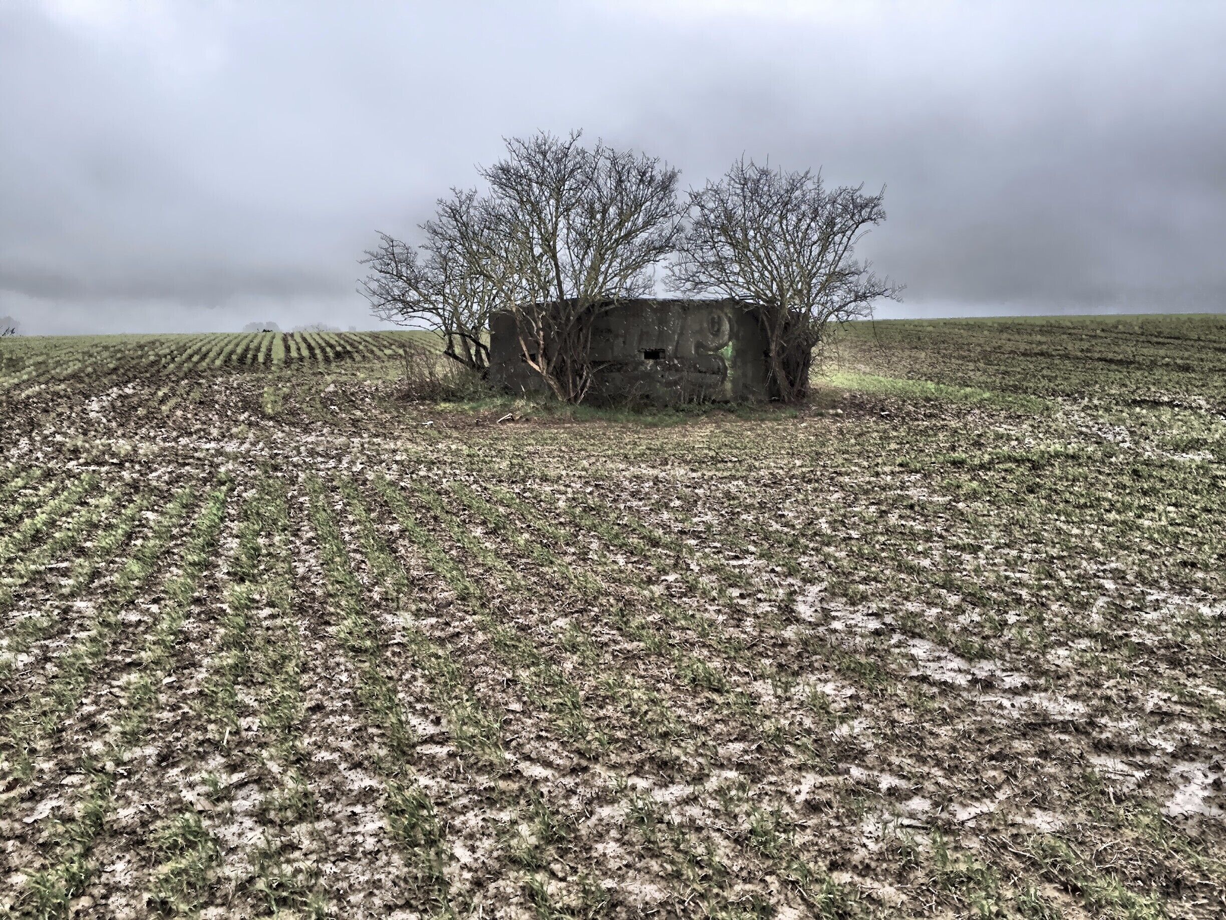 January 2016

WWII Pill Box in the middle of a field in Groombridge. One of many constructions in the area which are sadly being swallowed up by nature.

#Abandoned