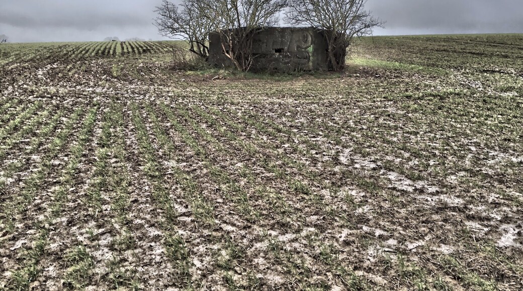 January 2016
WWII Pill Box in the middle of a field in Groombridge. One of many constructions in the area which are sadly being swallowed up by nature.
#Abandoned