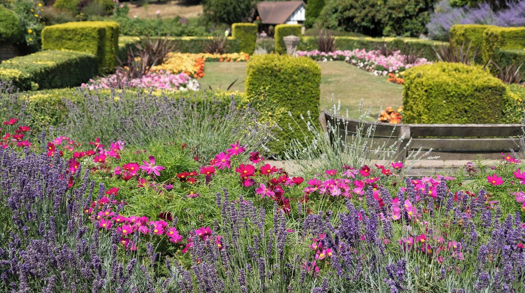 Calverley Grounds is a historic park area in the town of Royal Tunbridge Wells. Its situated opposite the main railway station and is used throughout the year by tourists and local people.
There are a range of events held here too, from Local & Live Music Festival to the Ice Rink at Christmas.