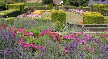 Calverley Grounds is a historic park area in the town of Royal Tunbridge Wells. Its situated opposite the main railway station and is used throughout the year by tourists and local people.
There are a range of events held here too, from Local & Live Music Festival to the Ice Rink at Christmas.