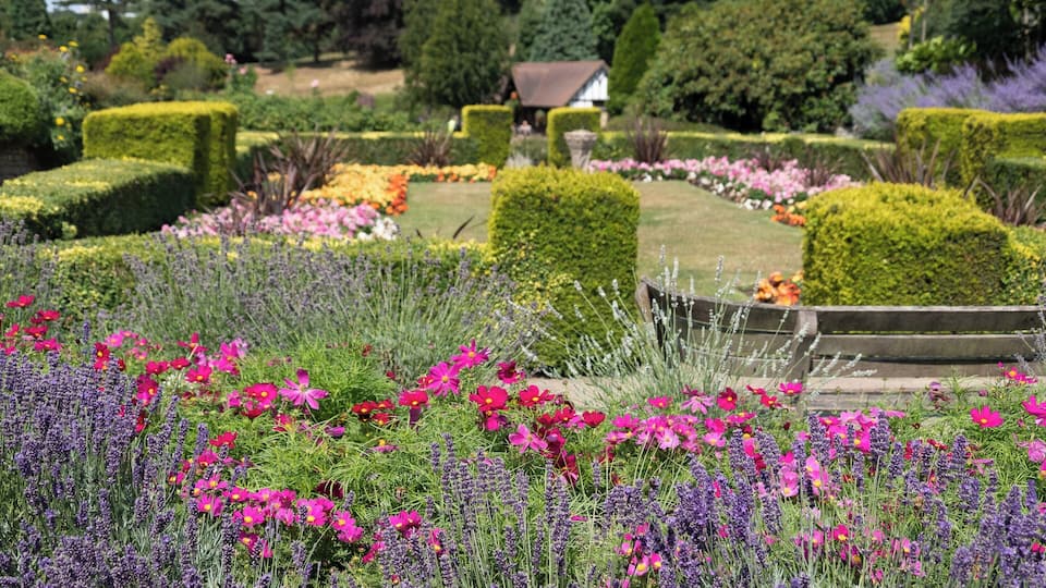 Calverley Grounds is a historic park area in the town of Royal Tunbridge Wells. Its situated opposite the main railway station and is used throughout the year by tourists and local people.
There are a range of events held here too, from Local & Live Music Festival to the Ice Rink at Christmas.