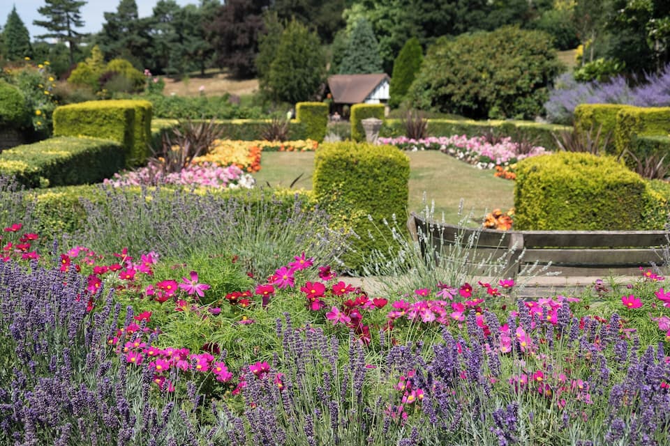 A well-manicured garden with vibrant flowers, neatly trimmed hedges, and a small house in the background.