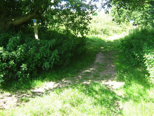 Footpath junction in Pippins Farm (2) A path from Horse Pasture, meets the Tunbridge Wells Circular / High Weald Walk heading straight on, from the left.