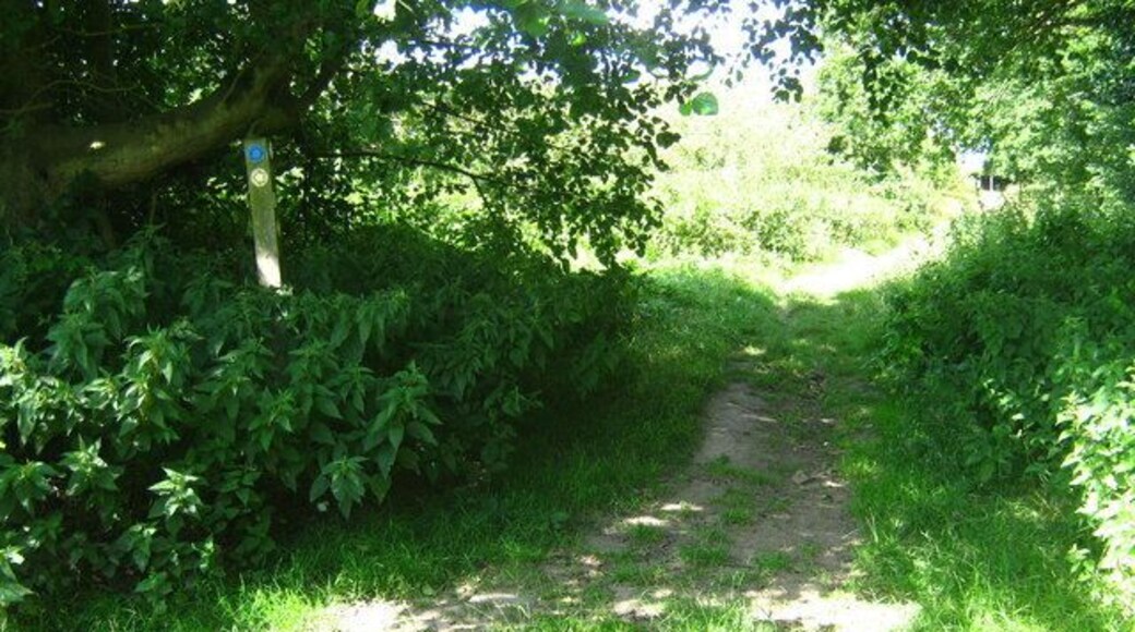 Footpath junction in Pippins Farm (2) A path from Horse Pasture, meets the Tunbridge Wells Circular / High Weald Walk heading straight on, from the left.