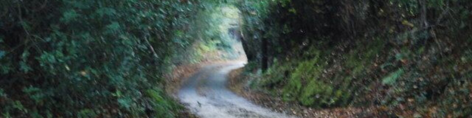 Benhall Mill Rd