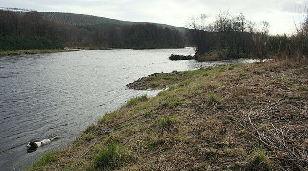The Junction Pool where the Rothes Burn enters the Spey.