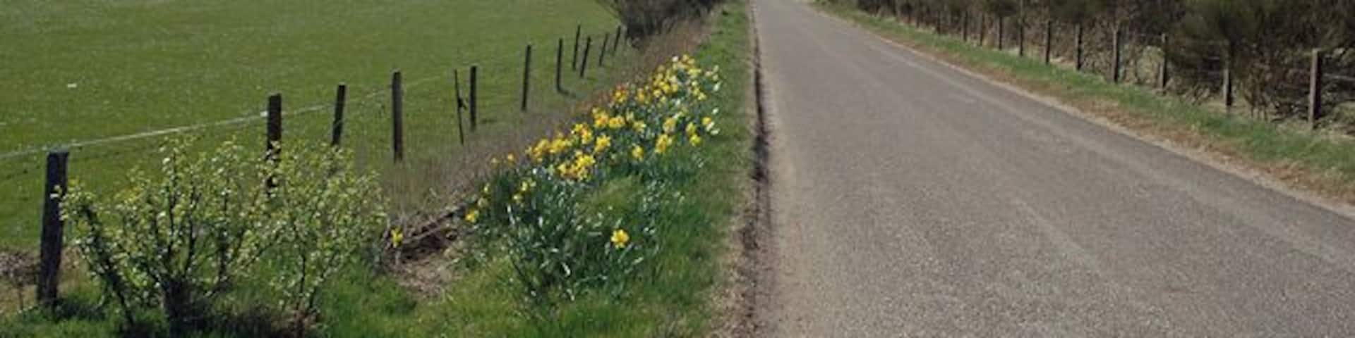 Road South of Archiestown