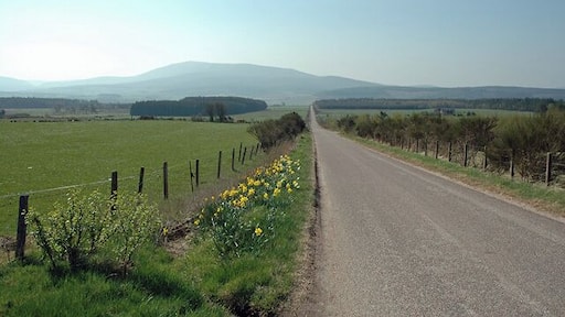 Road South of Archiestown