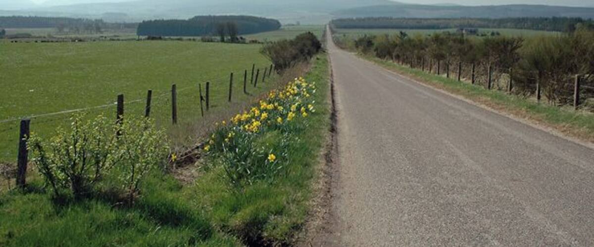 A rural road with a fence and yellow flowers on the side, surrounded by open fields and distant mountains.