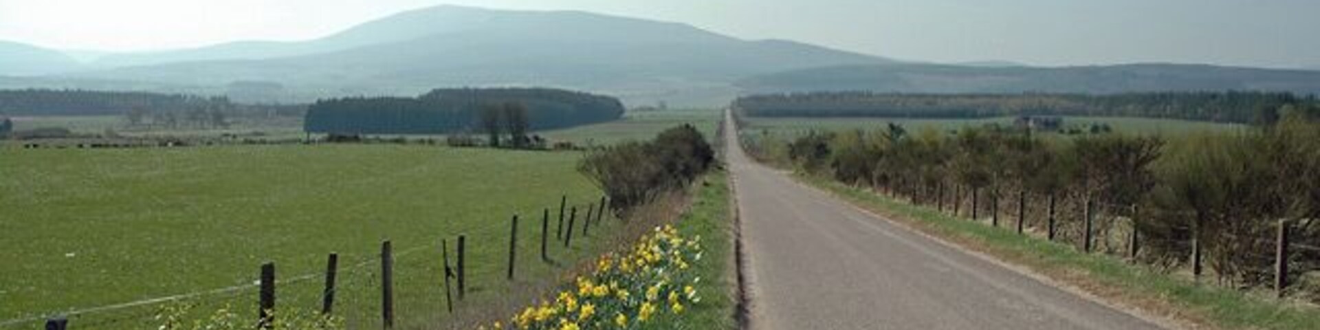 A rural road with a fence and yellow flowers on the side, surrounded by open fields and distant mountains.