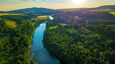 A river winding through a densely forested valley with a small town on the opposite bank.