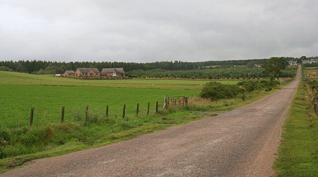 North-South road to and from Archiestown. A dwelling in Monahoudie Moss is on the left.
