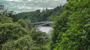 The Craigellachie Bridge near Aberlour