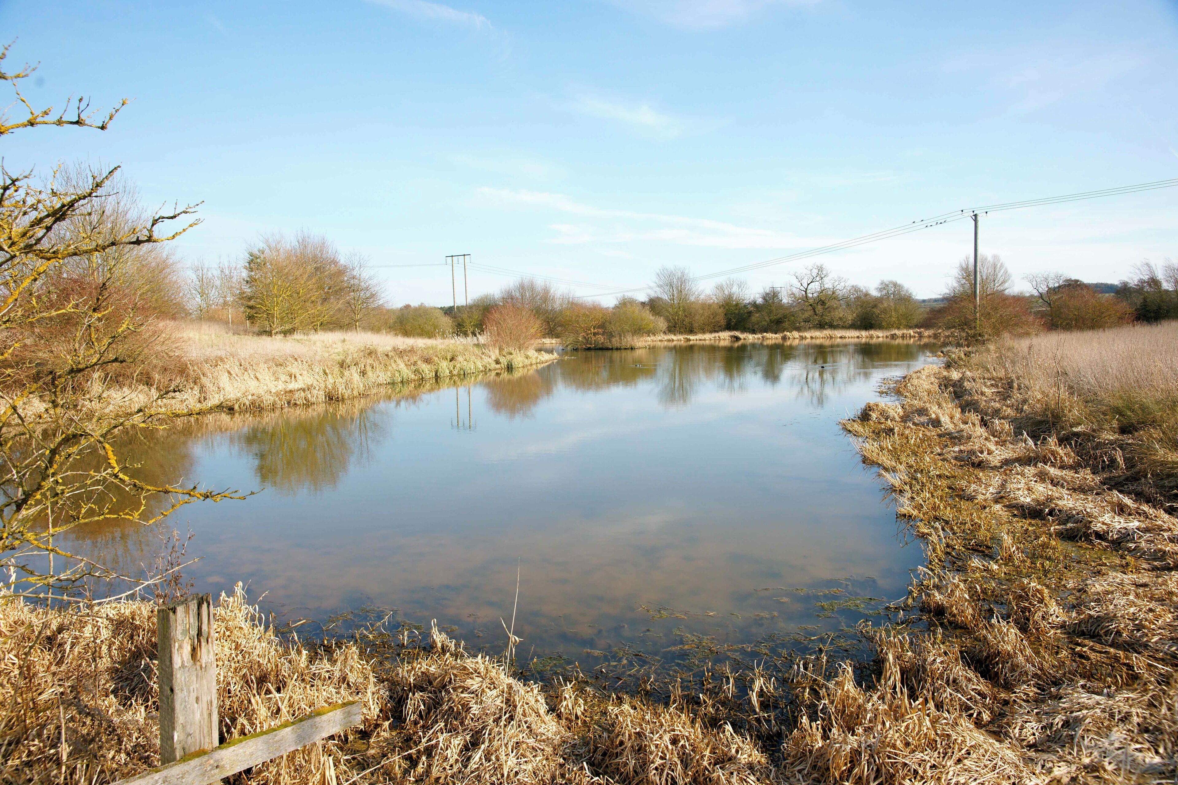 Ancient pond This pond, perhaps a former fishpond, forms part of a series of archaeological lumps, bumps and other features in this part of Kinwarton and lies next to the National Trust-operated Kinwarton Dovecot.