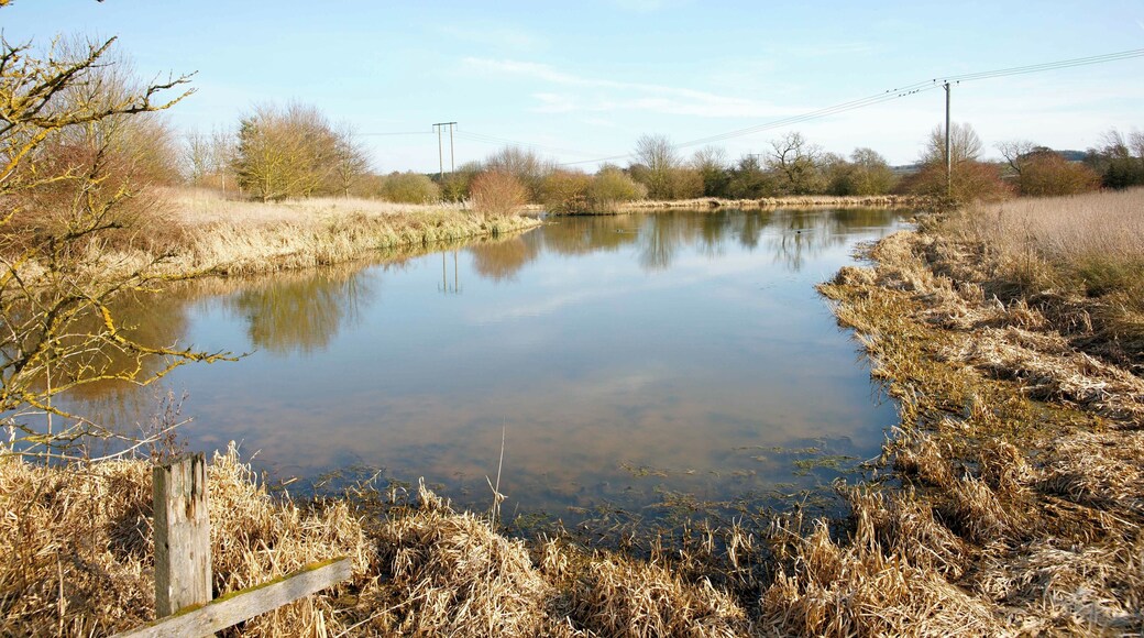 Ancient pond This pond, perhaps a former fishpond, forms part of a series of archaeological lumps, bumps and other features in this part of Kinwarton and lies next to the National Trust-operated Kinwarton Dovecot.