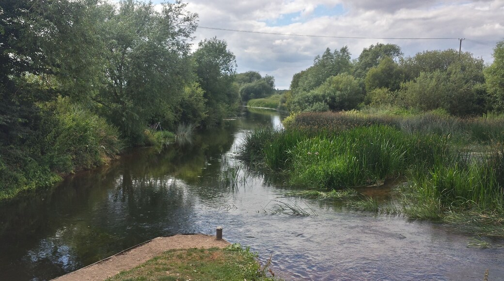 Warwickshire Avon at Marlcliff lock. View looking downstream from the tail of the lock island at Marlcliff lock on the Warwickshire Avon. The navigation channel passes to the left to the lock. Here the right bank is in Warwickshire parish of Bidford-on-Avon and the left bank in the Worcestershire parish of Cleeve Prior.
