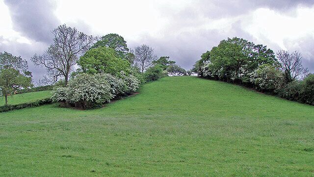 A grassy hill with trees and a cloudy sky.